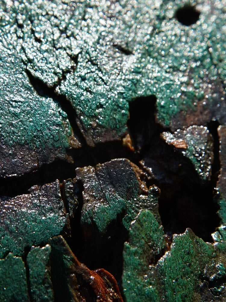 The Last Green